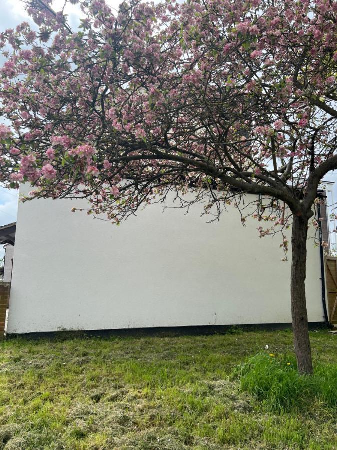 Wisdom Care: The Orpington Cutie Hotel Exterior foto